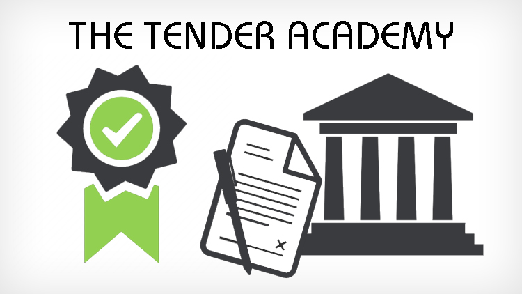 online public sector tendering course