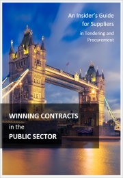 Winning Contracts in the Public Sector